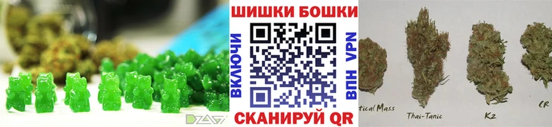 Cannafood конопля  Купить где  Карачаевск 