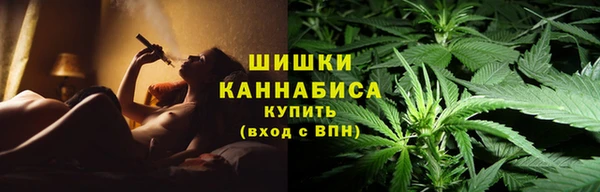 твердый Дмитров