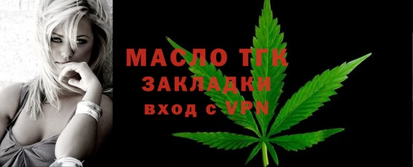 твердый Дмитров