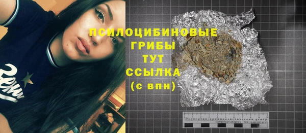 твердый Дмитров