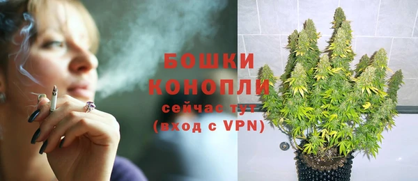твердый Дмитров