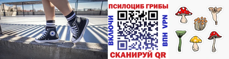 Псилоцибиновые грибы Cubensis  Купить закладки  Карачаевск 